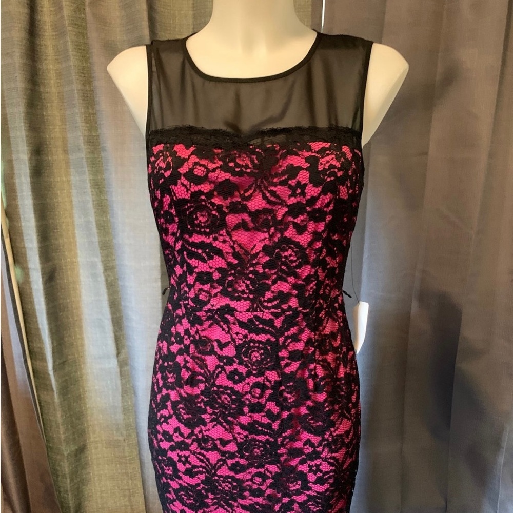 Venus Bodycon Black Lace Pink Dress Size 6 NWT